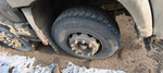 Shacman (Shaanxi) SX* 8x4 Самосвал SX331863366 (Дизельный, 12,5 л, 544 л.с., МТ)