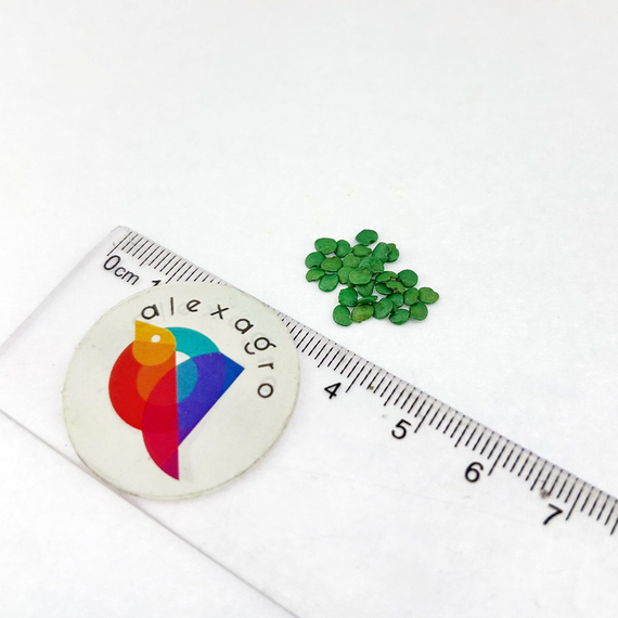 Каратая F1 семена баклажана (Vilmorin /ALEXAGRO) семена – фото 6