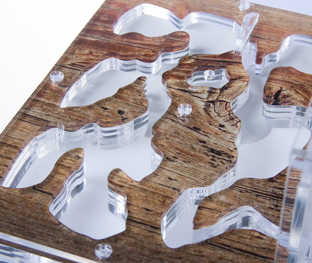 Муравьиная ферма Antrum L