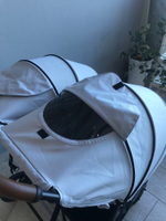 Коляска детская для близнецов RANT "Twinny" RA151 Luna