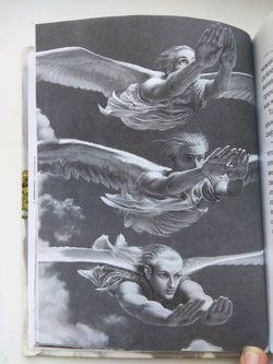 Чайка Джонатан Ливингстон