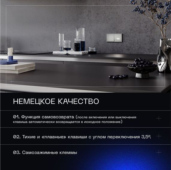 Выключатель с самовозвратом встраиваемый Voltum S70 одноклавишный 10А, (сталь) VLS010605