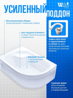 Душевая кабина WeltWasser  WW500 HALLE 1202 L 120х90 см,  прозрачное стекло, поддон низкий, крыша, левосторонняя