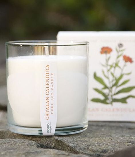 Catalan Calendula, свеча The Seeds, Kobo Candles