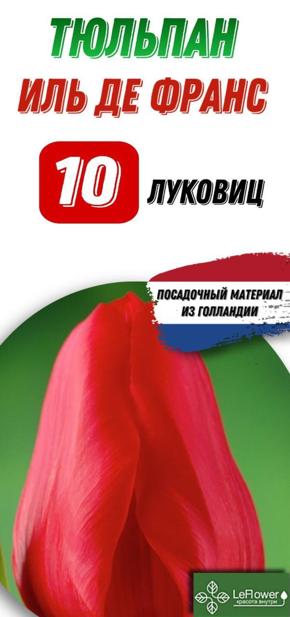 Тюльпан Луковица, Иль де Франс, 10шт
