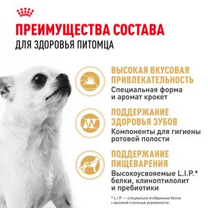 Сухой корм Royal Canin Chihuahua Adult для взрослых собак породы Чихуахуа от 8 месяцев