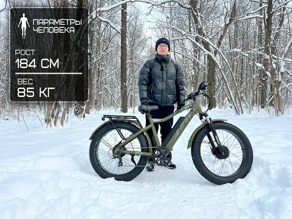 Электрофэтбайк VOLTECO BigCat Dual Next (черный)