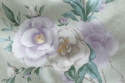 Постельное белье СайлиД BR-013 сатин