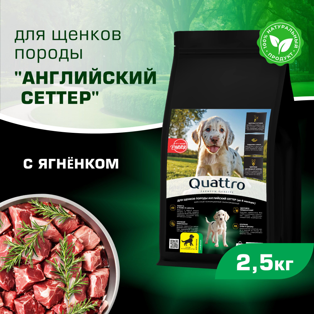 Корм сухой для щенков породы Английский сеттер, премиум полнорационный комплекс, с ягненком, 2,5 кг, QUATTRO