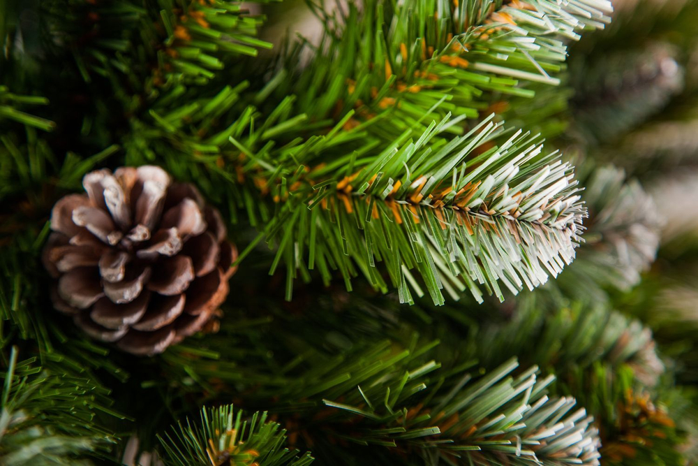 Ель Императрица с шишками 90 CM в мешочке заснеженная Triumph Tree