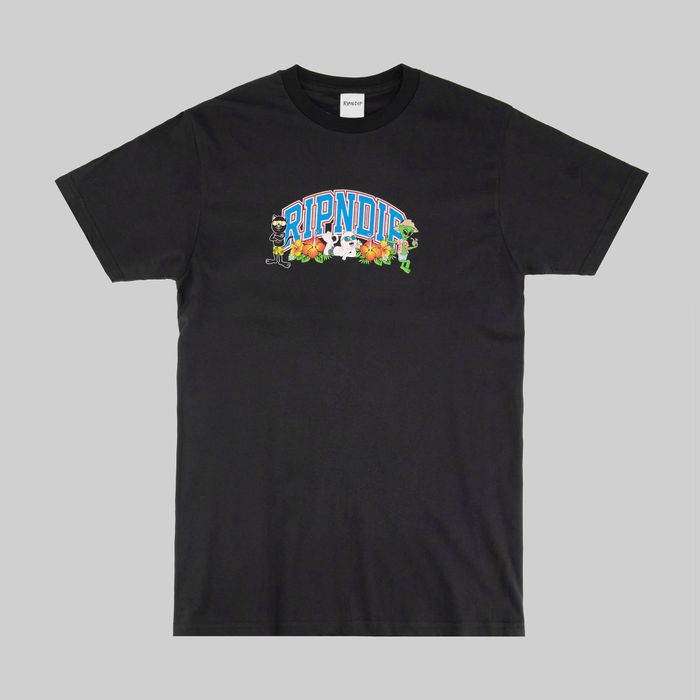 Футболка мужская Ripndip Summer Friends Tee артикул:RND10097 - купить в магазине Дайс