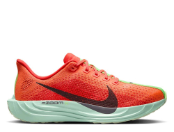 Кроссовки для бега женские Nike Pegasus Plus W Красно-Зеленые