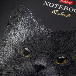 79hw8zxsolvmjipwooeumwf8grmkbep0