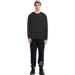 Толстовки Polo Ralph Lauren SS23 Logo, 710842632-001