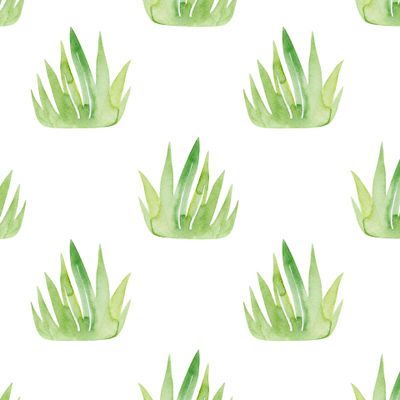 Трава на белом