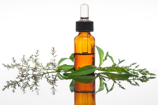 Эфирное масло Вербена. 10 мл.