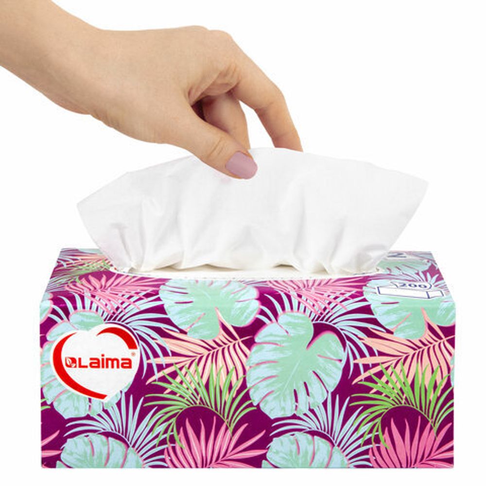 Салфетки косметические 200 шт. в картонном боксе 2-слойные, LAIMA "Everyday", 20х20 см, 113589
