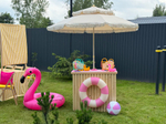Flamingo Summer Party