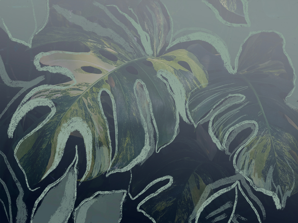 Коллекция GREENDAY 22