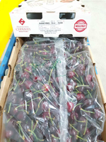 черешня чилийская сорт Bing, lapins ,Van.