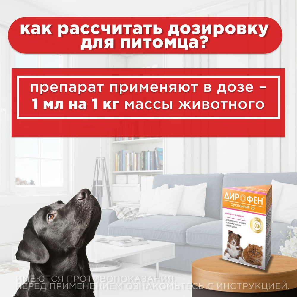 Суспензия от гельминтов Дирофен 20 для котят и щенков 10мл