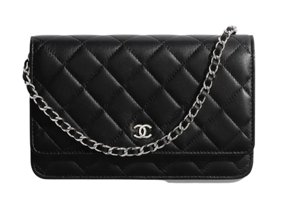 Классическая сумка-кошелек на цепочке Chanel Wallet On A Chain