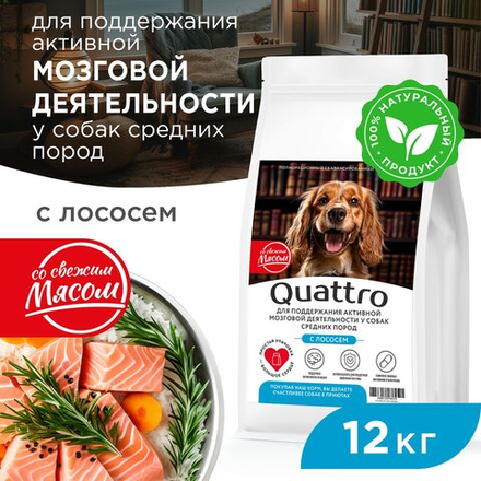 Корм сухой для взрослых собак средних пород, премиум полнорационный комплекс, забота о памяти и мозговой активности, с лососем, 12 кг, QUATTRO