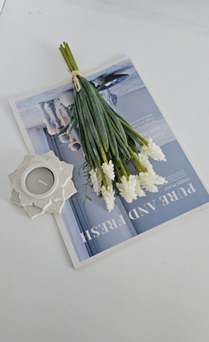 Мускари / Арт 2055