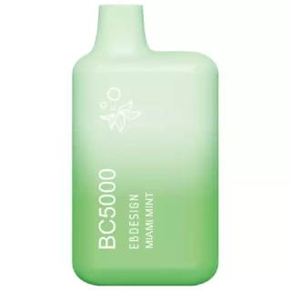 Elf Bar BC5000 - Miami Mint (5% nic)