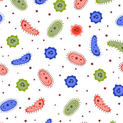 Микроорганизмы: бактерии