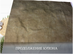 Кулирка купон кот сфинкс