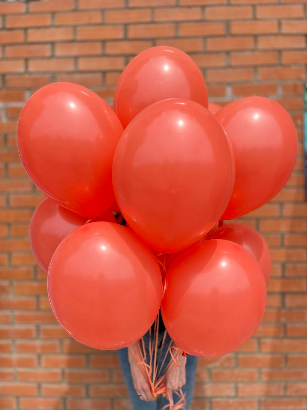 Воздушные шары №276