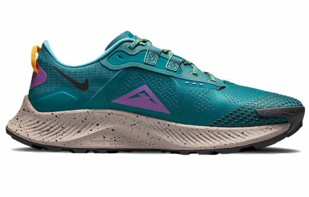 Кроссовки Nike Pegasus Trail 3
