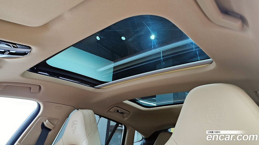 Porsche Panamera (971) 2.9 AWD E-Hybrid Platinum Editions (02.2023)