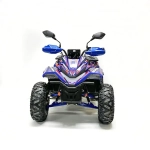 Квадроцикл Green Camel Атакама T630 (72V 2000W R8)