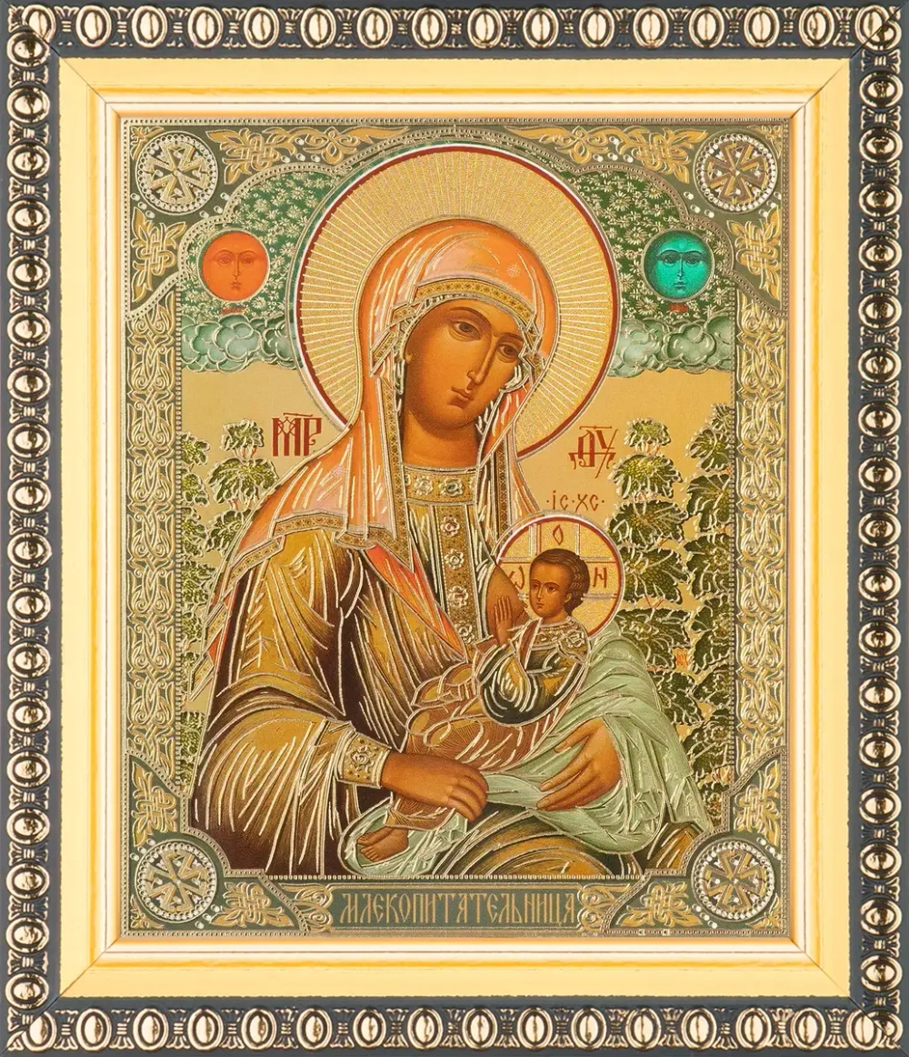 Икона БМ "Млекопитательница", вид 2, 10х12 в раме 13х15