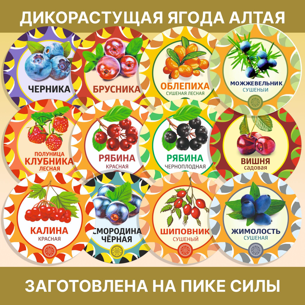 Калган корень Лапчатка.