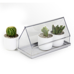 Лоток для выращивания растений micro green house, прозрачный
