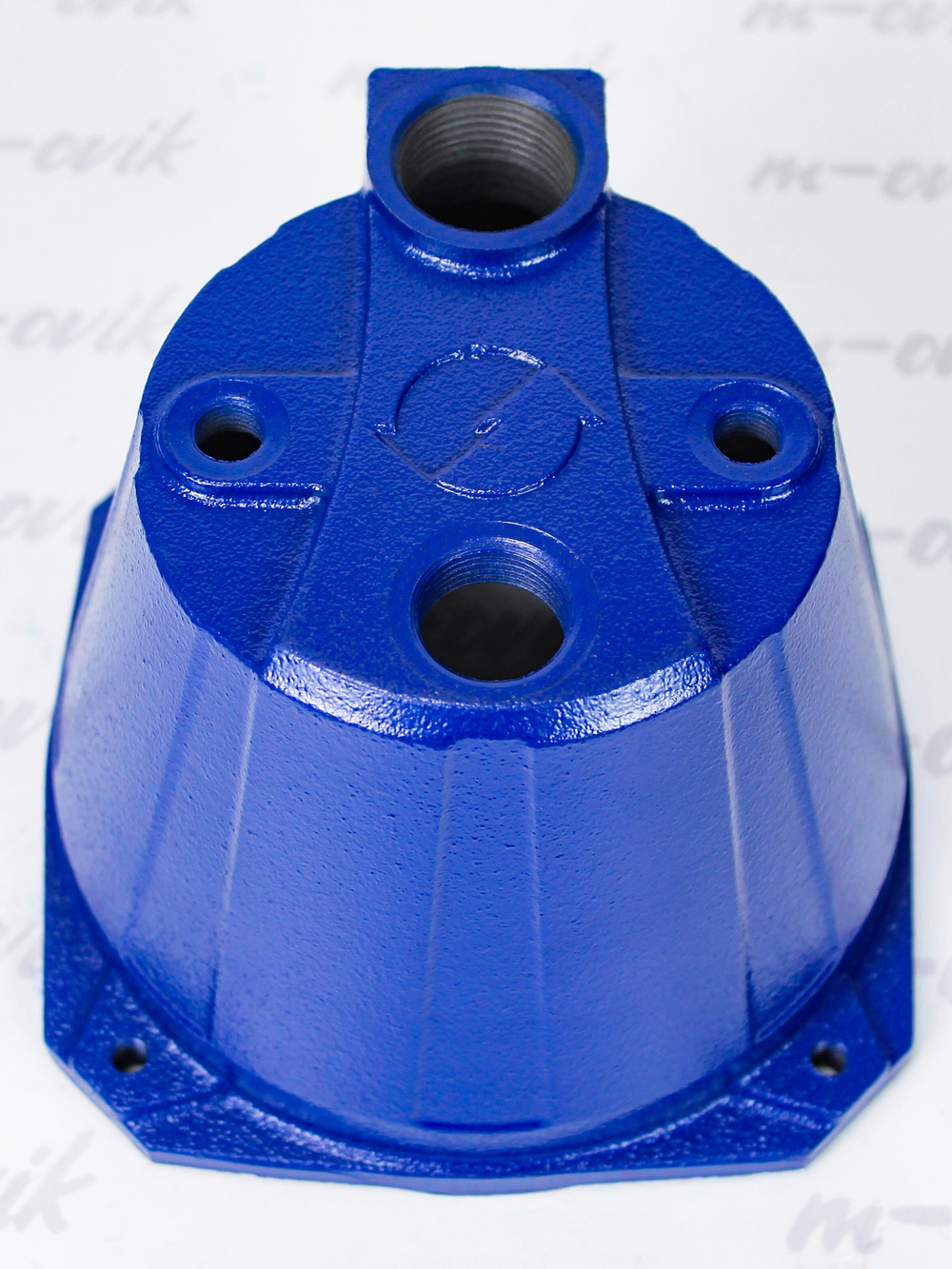 BL1011 (7)