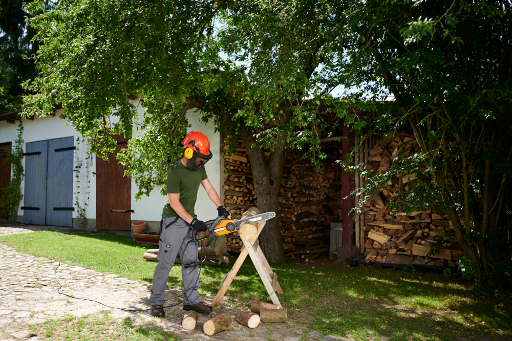 Пила сетевая WORX WG307E JawSaw