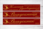 Именная лента выпускника №03