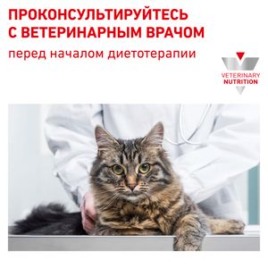 Пауч для кошек, Royal Canin Urinary S/O Feline With Chicken Loaf, при мочекаменной болезни