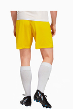 Шорты adidas Entrada 22