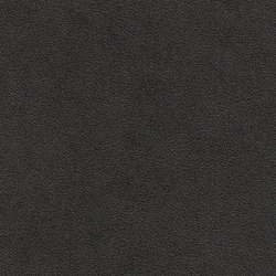 Искусственная кожа Bielastisch (Биеластиш) 238-2339