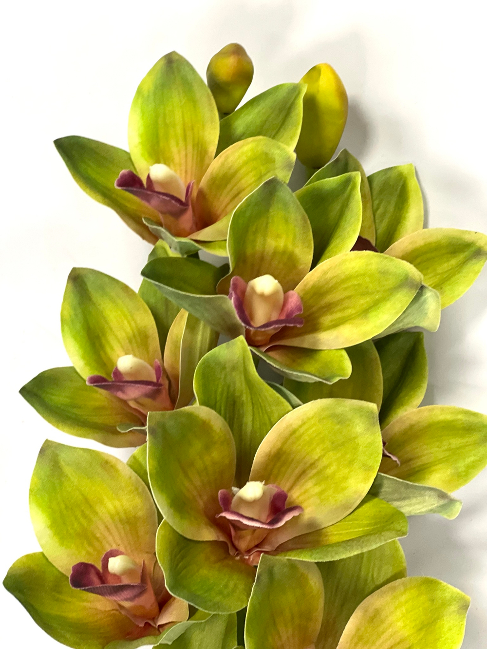 Орхидея Цимбидиум ветка зеленая 73 см