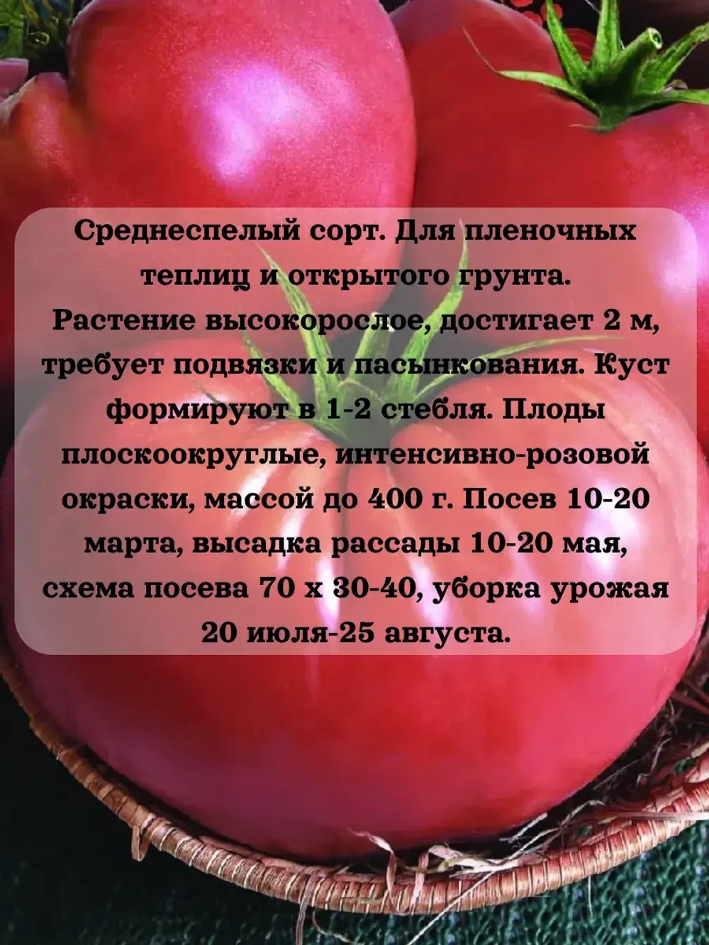 Семена Томат Розовый гигант 0.2 гр