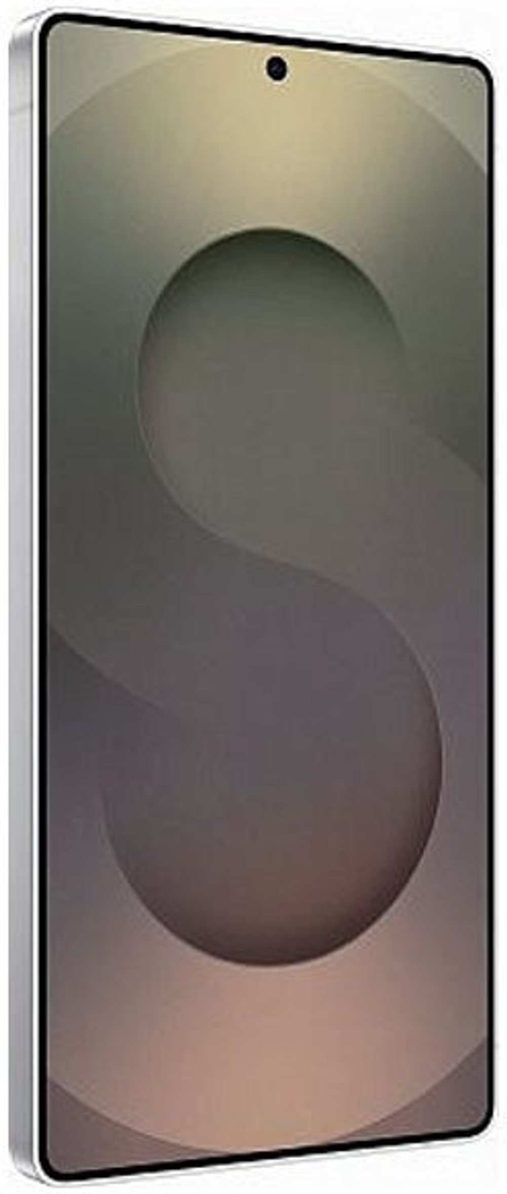 Samsung Galaxy S25 Ultra 12/256Gb Global Titanium Silver