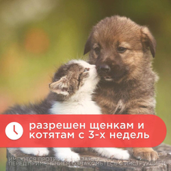Таблетки от гельминтов Дирофен для кошек и собак 6табл по 200мг