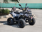 Lion 130 RR серый