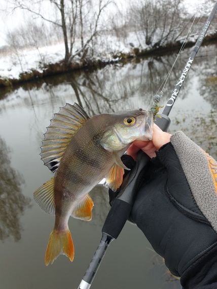 Твистеры съедобные LJ Pro Series NAYADA (4,5 см), цв. S21, 9 шт.